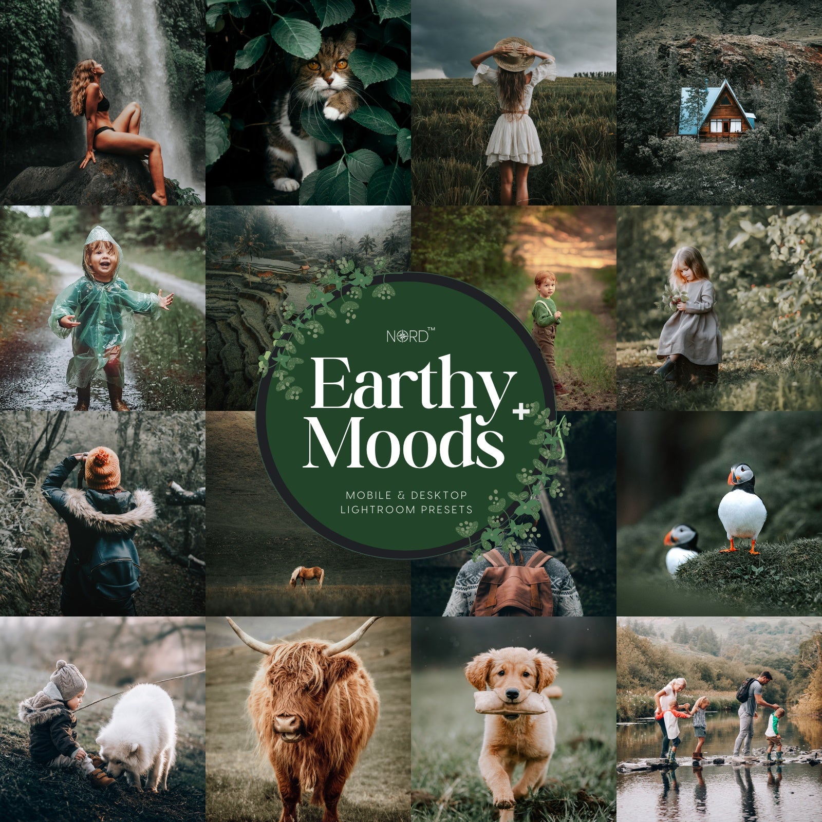 NordStudios™ Lightroom Presets | Mobile & Desktop – Nord Studios